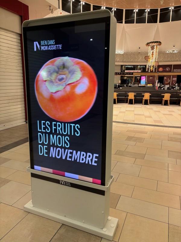 Totem design et robuste équipé d’écrans LED, parfait pour diffuser des promotions en continu dans un centre commercial.